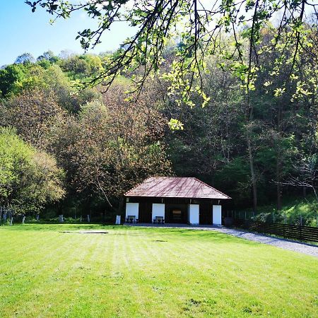 Mateo Transalpina Hotell Săsciori Exteriör bild