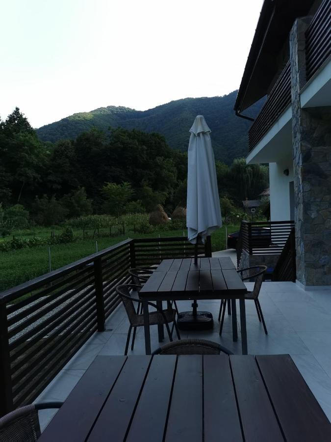 Mateo Transalpina Hotell Săsciori Exteriör bild