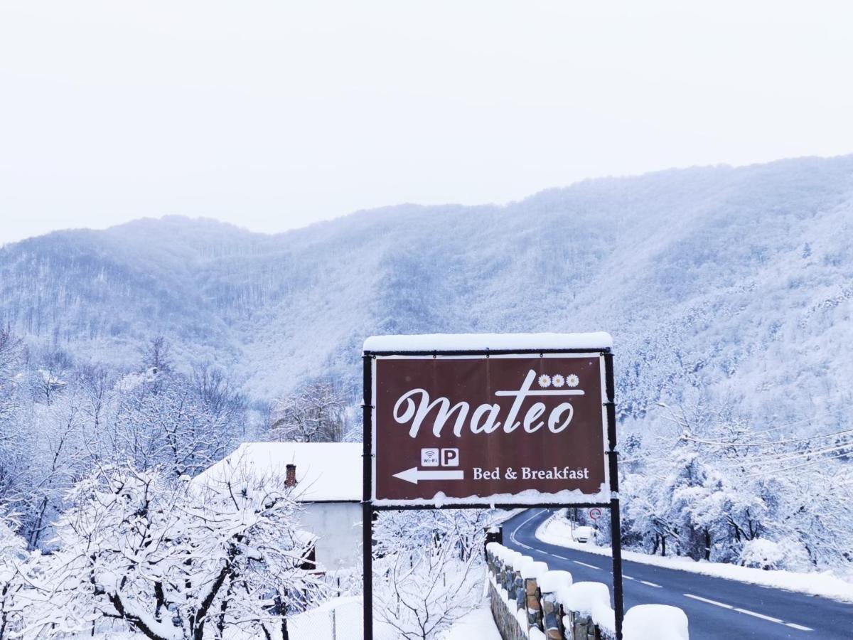 Mateo Transalpina Hotell Săsciori Exteriör bild