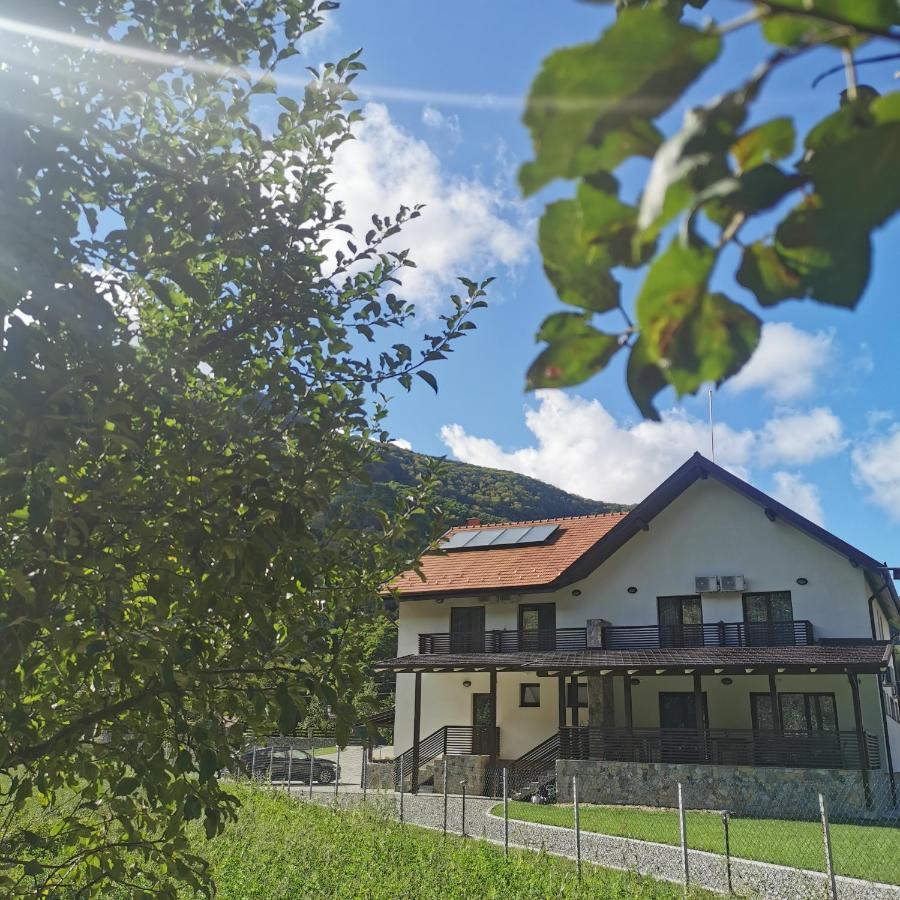 Mateo Transalpina Hotell Săsciori Exteriör bild