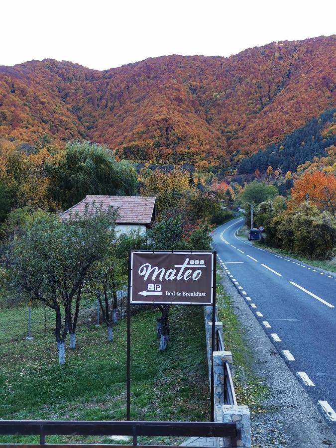 Mateo Transalpina Hotell Săsciori Exteriör bild