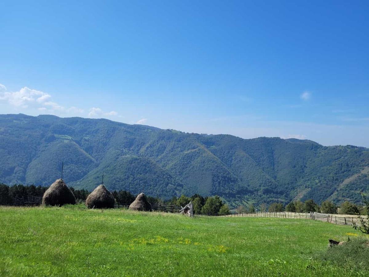 Mateo Transalpina Hotell Săsciori Exteriör bild