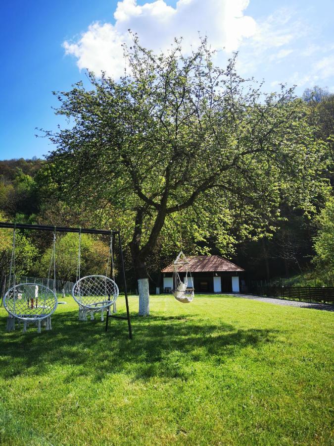 Mateo Transalpina Hotell Săsciori Exteriör bild